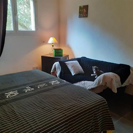 ポルトヴェッキオ Casa Gattuヴィラ エクステリア 写真