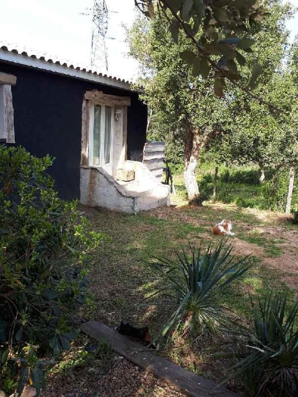 ポルトヴェッキオ Casa Gattuヴィラ エクステリア 写真