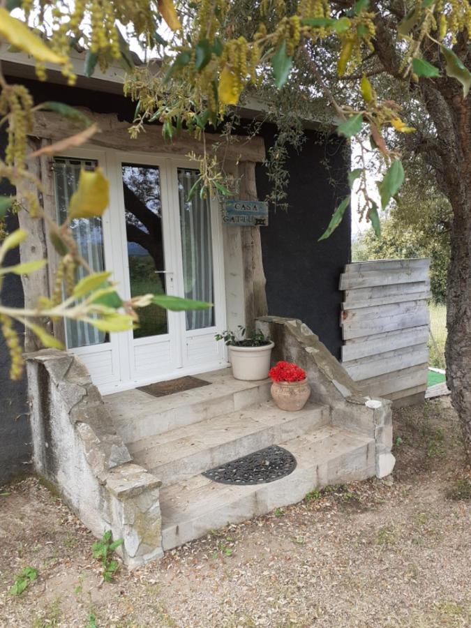 ポルトヴェッキオ Casa Gattuヴィラ エクステリア 写真