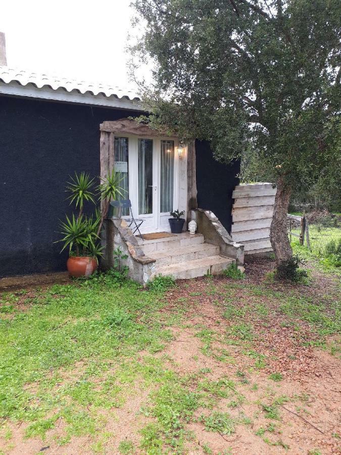 ポルトヴェッキオ Casa Gattuヴィラ エクステリア 写真